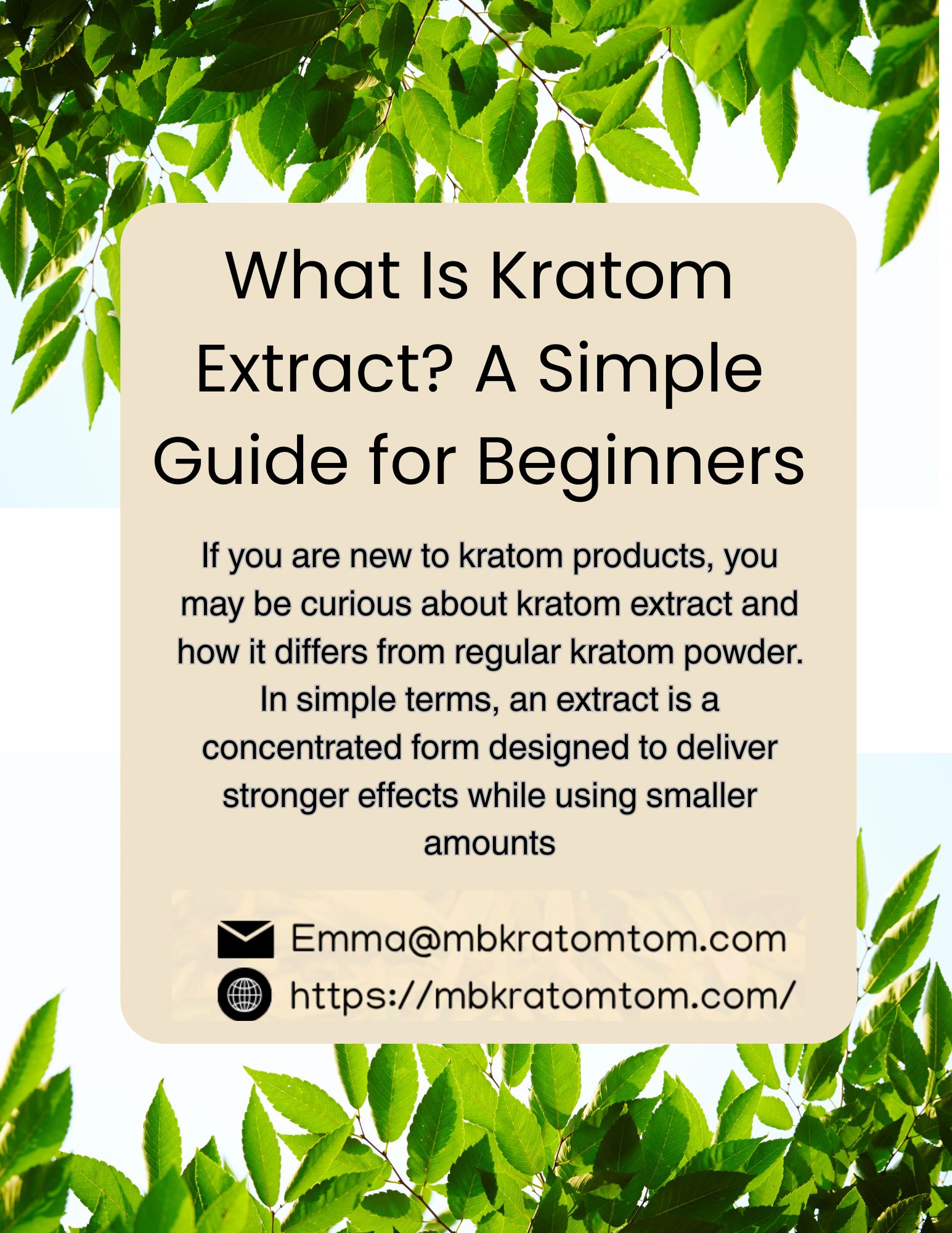 Read more about the article What Is Kratom Extract? A Simple Guide for Beginners